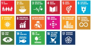 17 SDG Logos